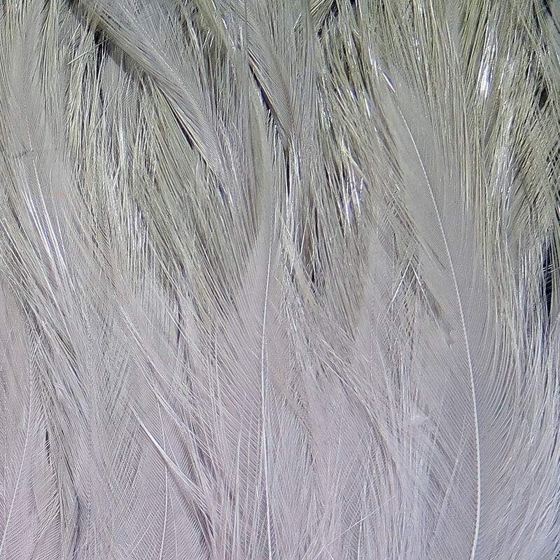 Hareline Saltwater Neck Hackle