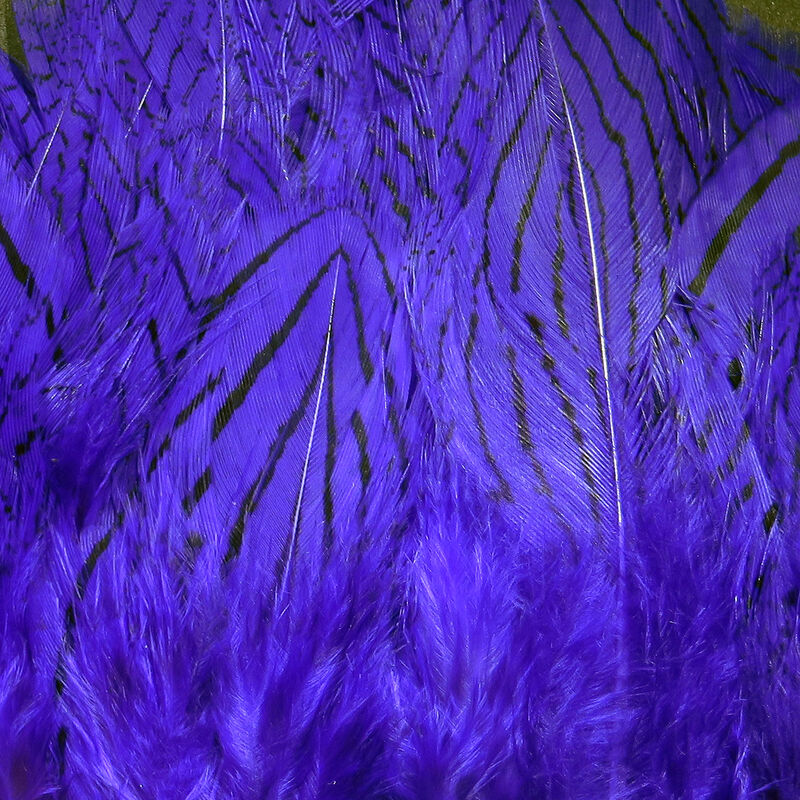 Silver Pheasant Feathers