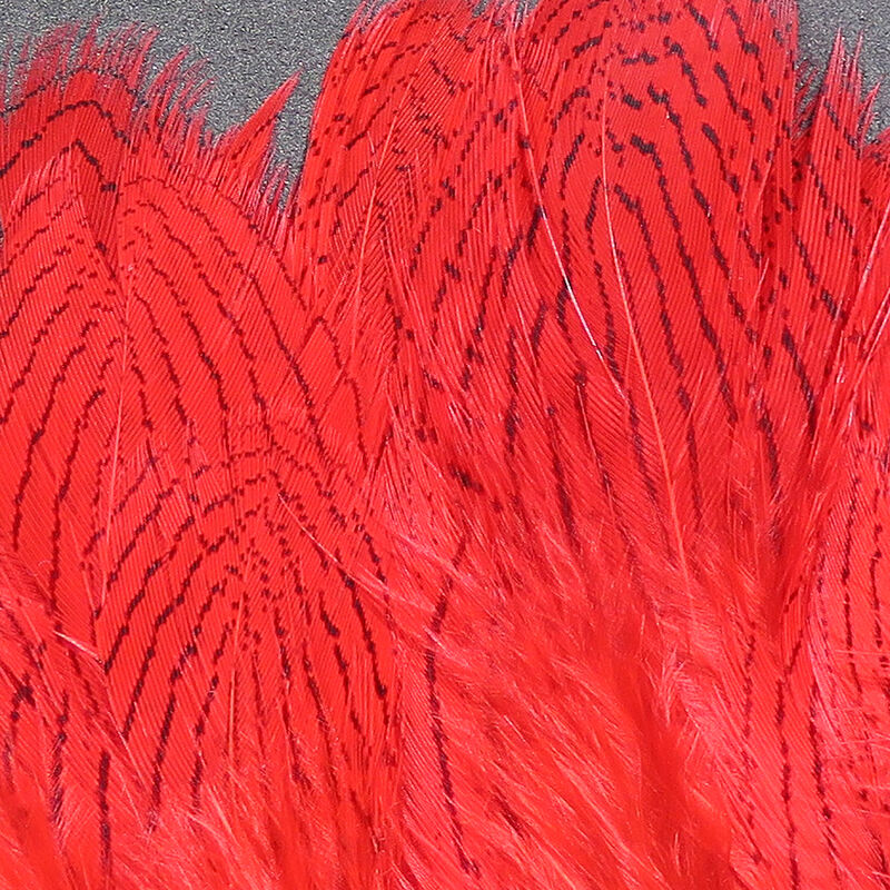 Silver Pheasant Feathers