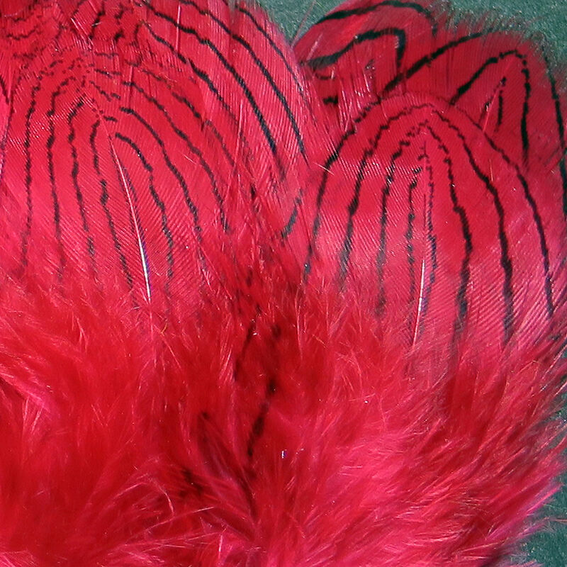 Silver Pheasant Feathers