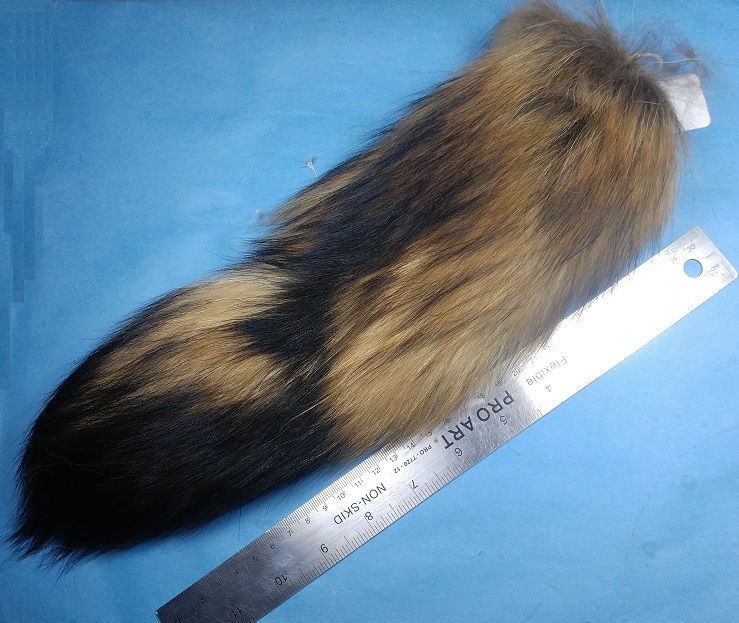 Finnish Raccoon Tail - Click Image to Close