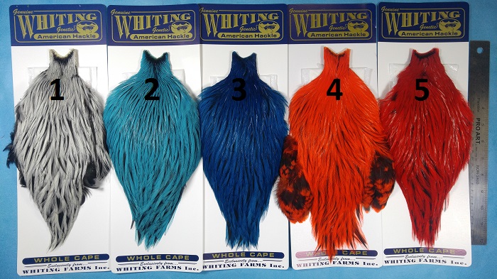Whiting American Rooster - Badger Cape - Click Image to Close