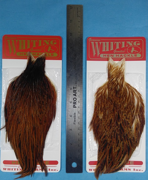 Whiting Hen Hackle - Cape - Click Image to Close