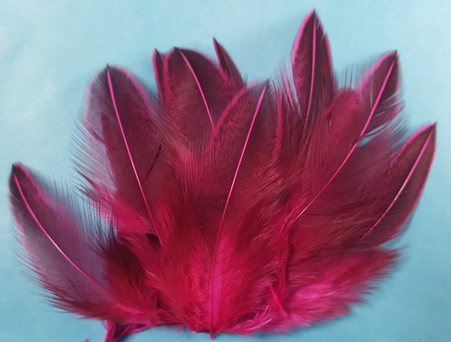 Jungle Cock Shoulder Dyed Hot Pink - Click Image to Close