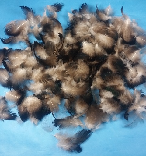 Black Duck Flank Feathers