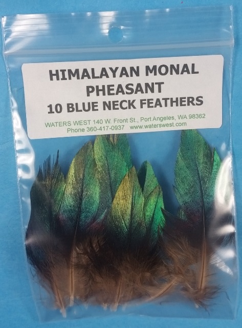 Himalayan Monal Pheasant