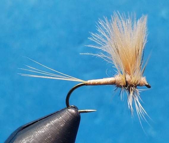 CDC Thorax March Brown - Click Image to Close