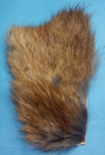 Muskrat Back Fur - Click Image to Close