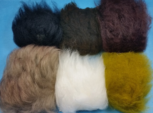 Rams Wool - Click Image to Close